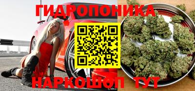 наркотики Камышлов