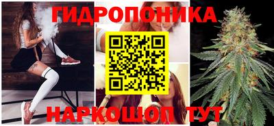 наркотики Камышлов